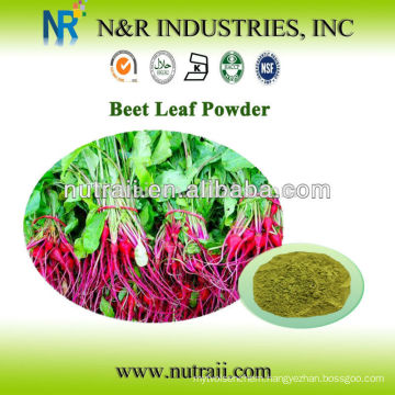 Natural Dried Beet root powder dehydrated red beet powder